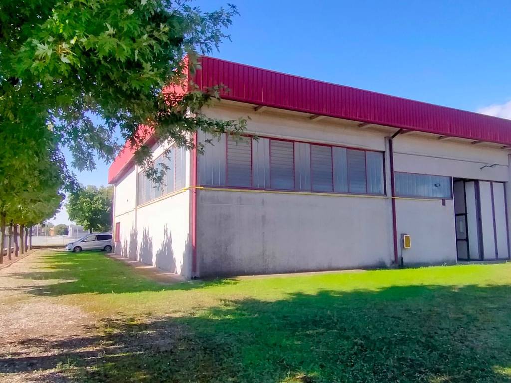 immagine annuncio 1 di 5