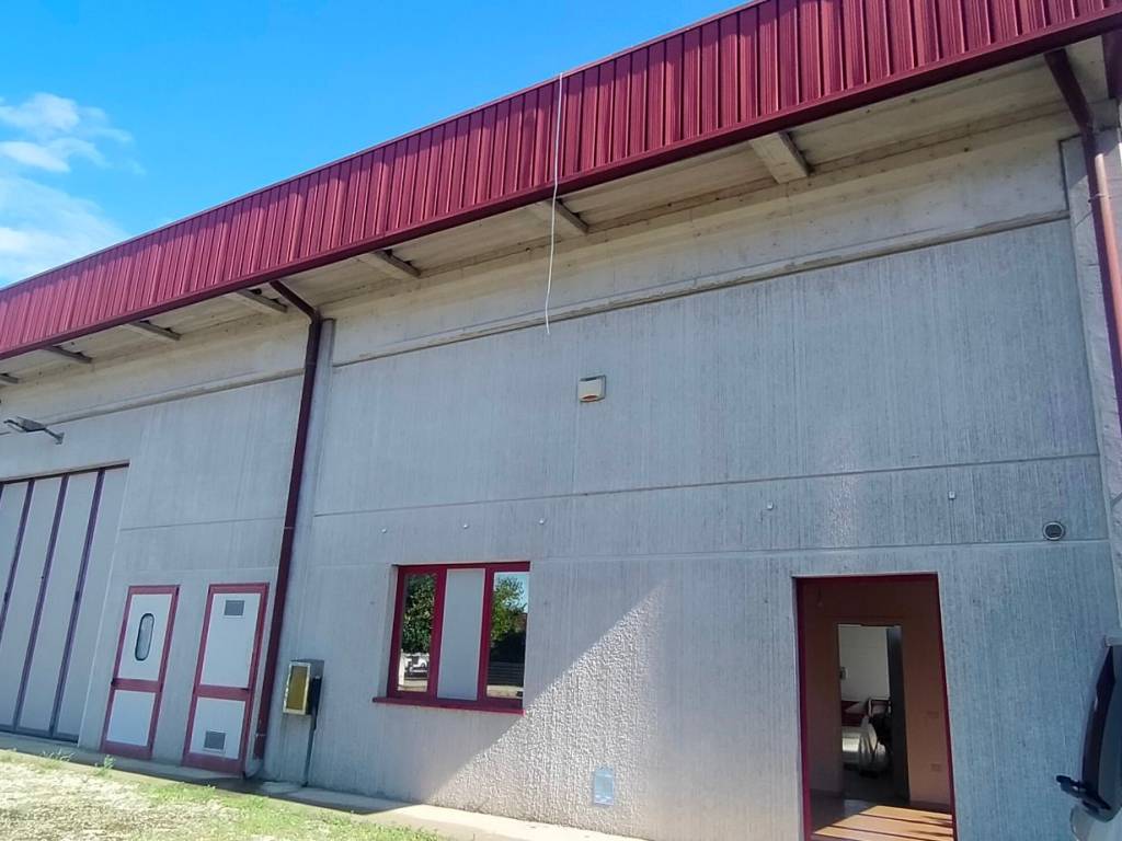 immagine annuncio 2 di 5