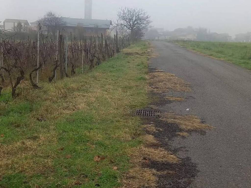 immagine annuncio 2 di 4