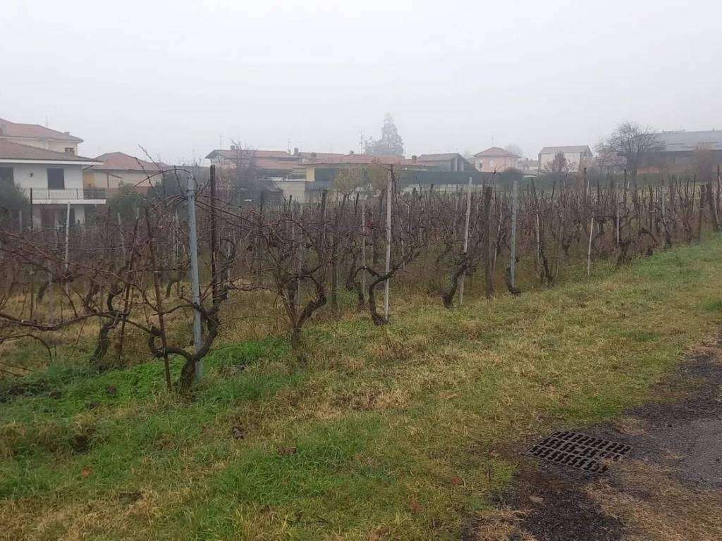 immagine annuncio 3 di 4