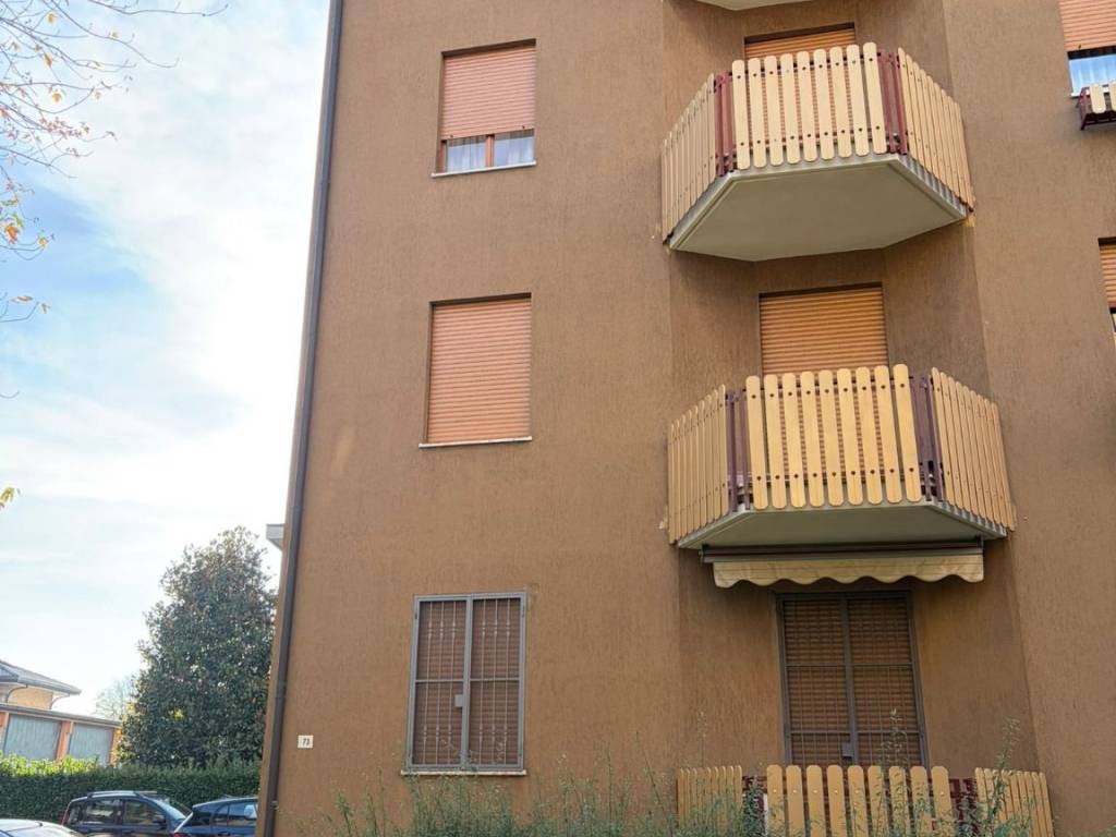 immagine annuncio 2 di 5