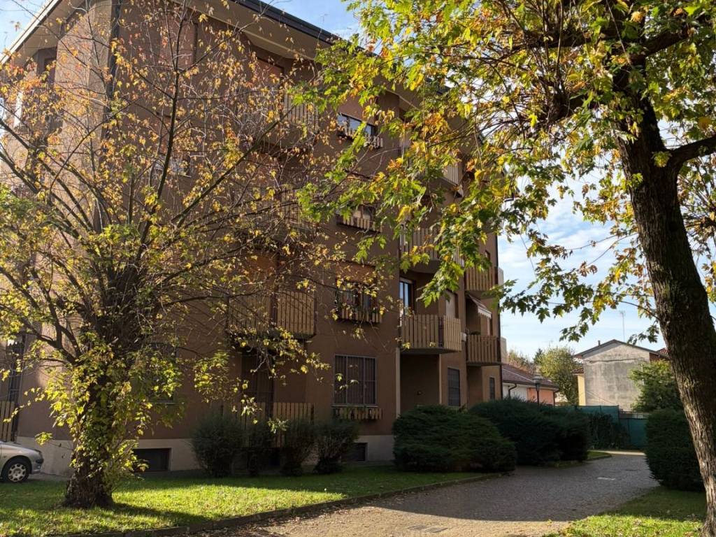 immagine annuncio 3 di 5