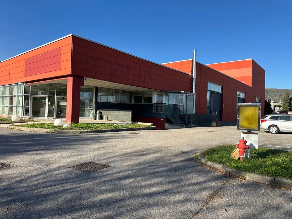 immagine annuncio 3 di 5