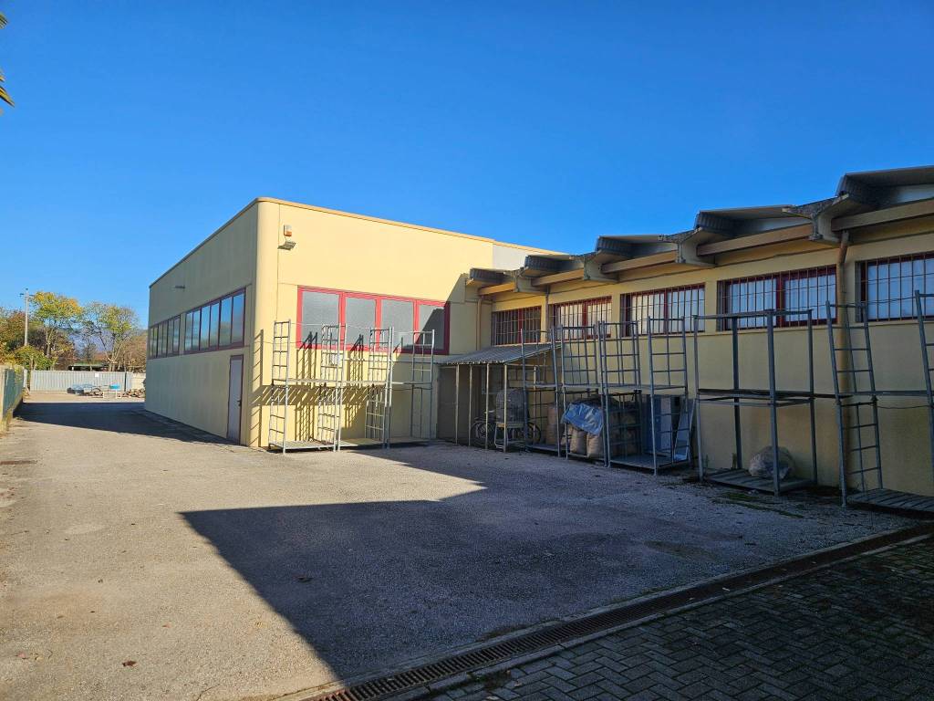 immagine annuncio 3 di 5