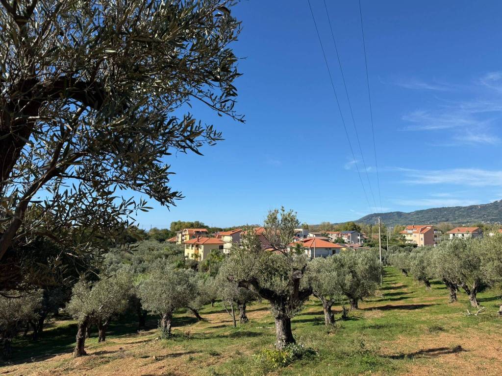 immagine annuncio 1 di 3