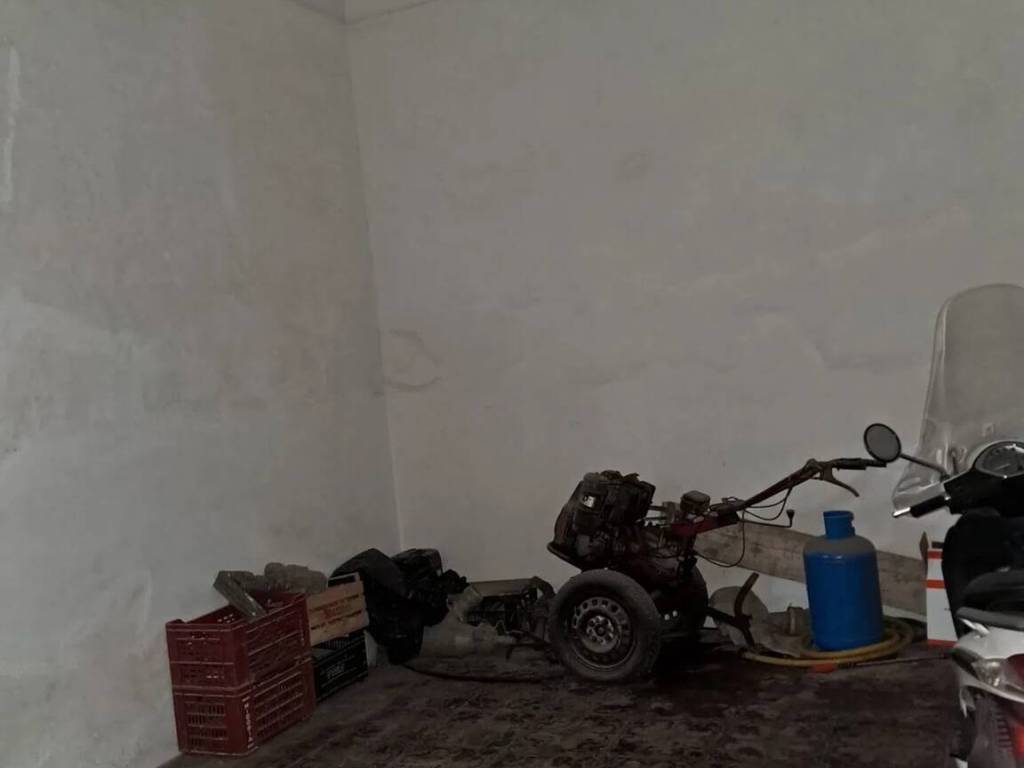 immagine annuncio 2 di 4