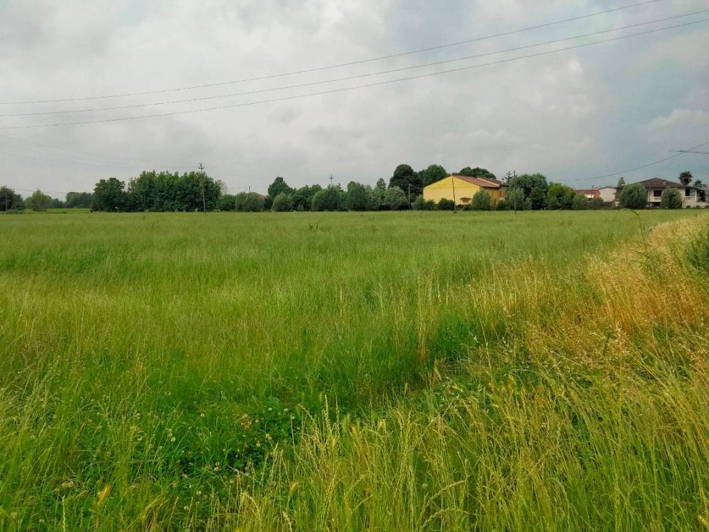 immagine annuncio 1 di 3