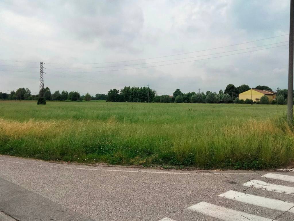 immagine annuncio 2 di 3