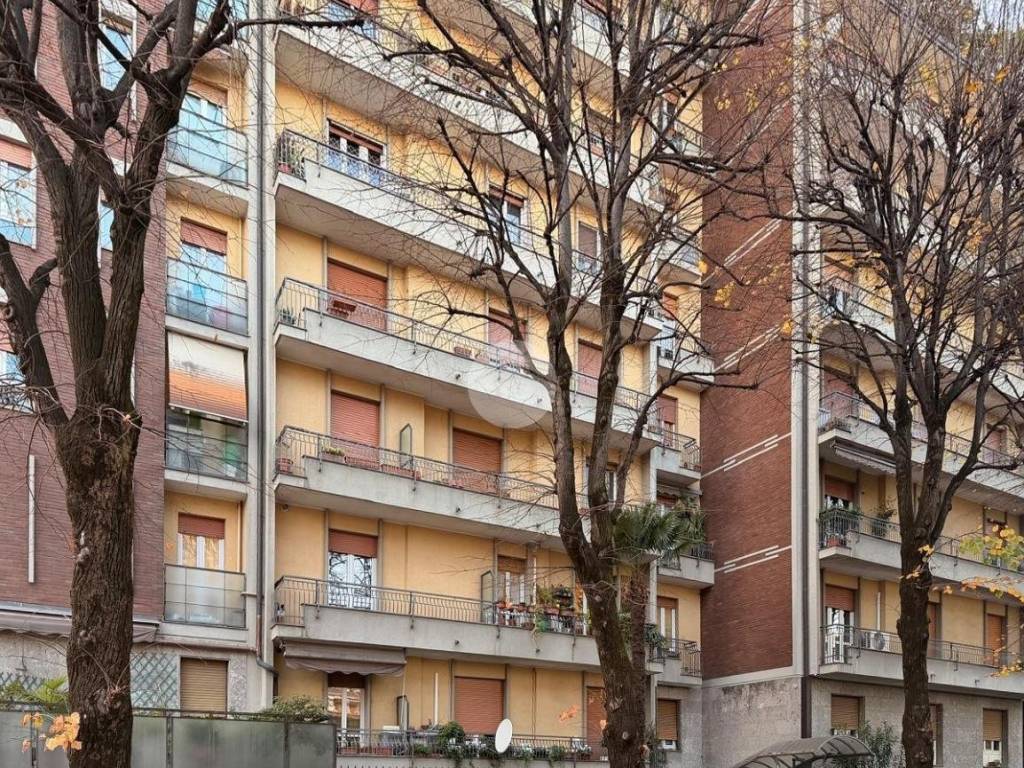 immagine annuncio 1 di 2