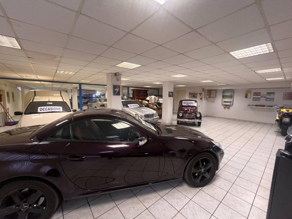 immagine annuncio 4 di 5