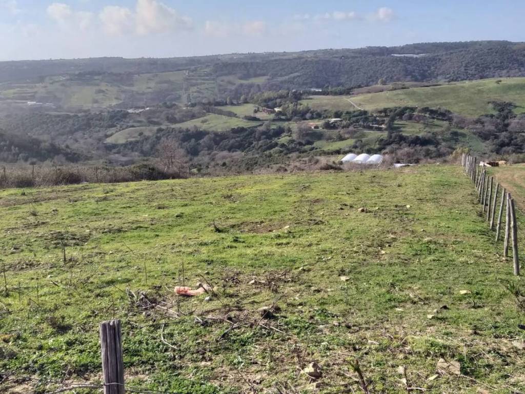 immagine annuncio 3 di 4