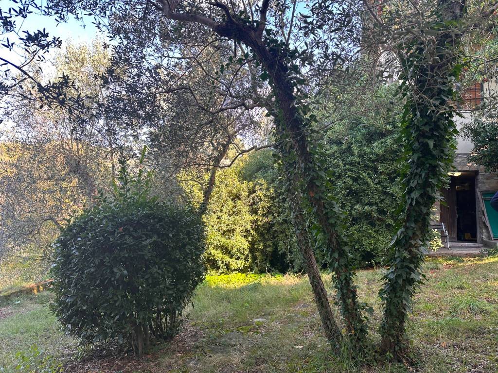 immagine annuncio 2 di 4