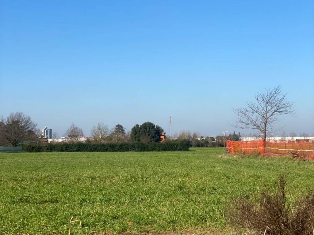 immagine annuncio 1 di 2