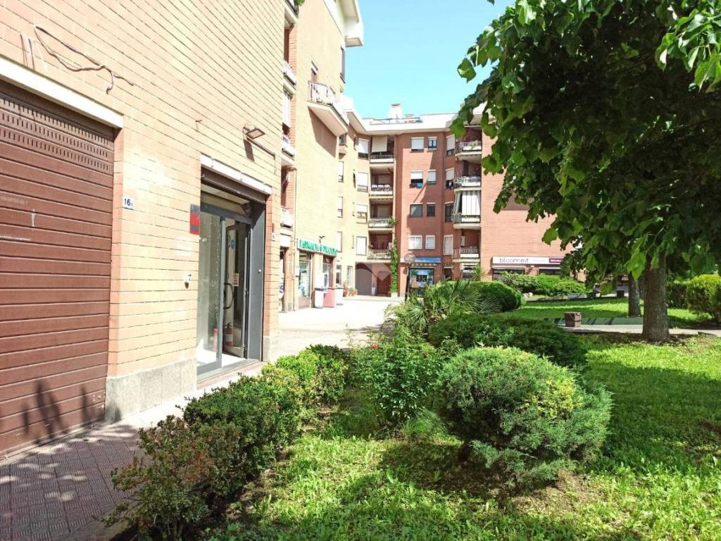 immagine annuncio 1 di 5