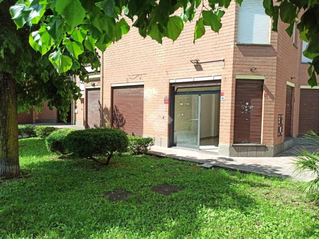 immagine annuncio 3 di 5