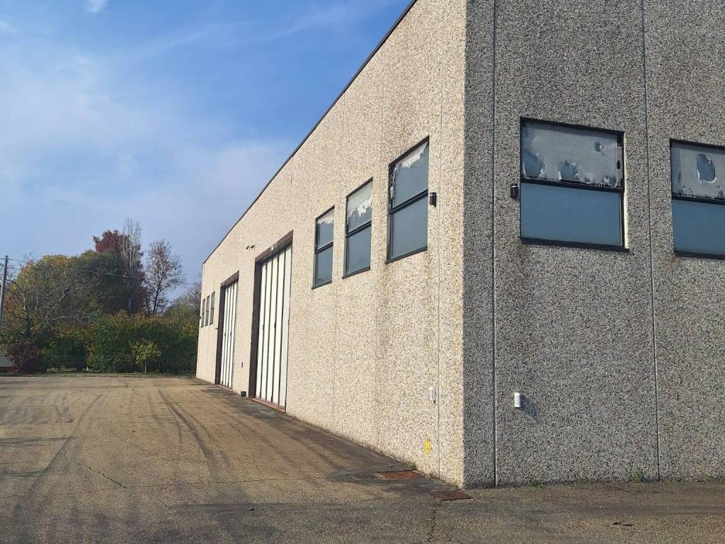 immagine annuncio 3 di 5