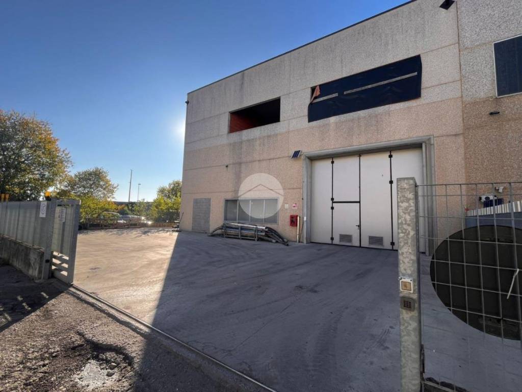 immagine annuncio 2 di 5