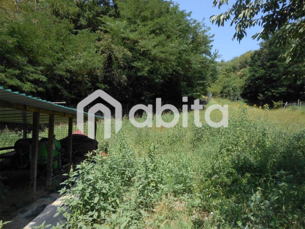 immagine annuncio 2 di 3