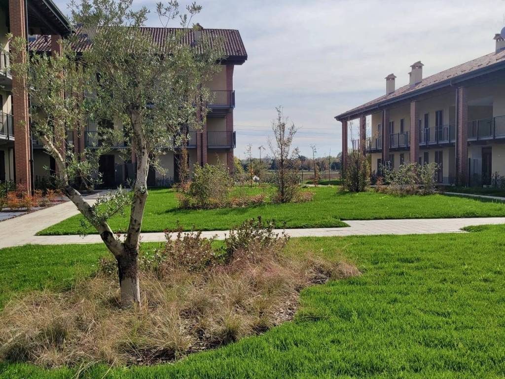 immagine annuncio 3 di 4