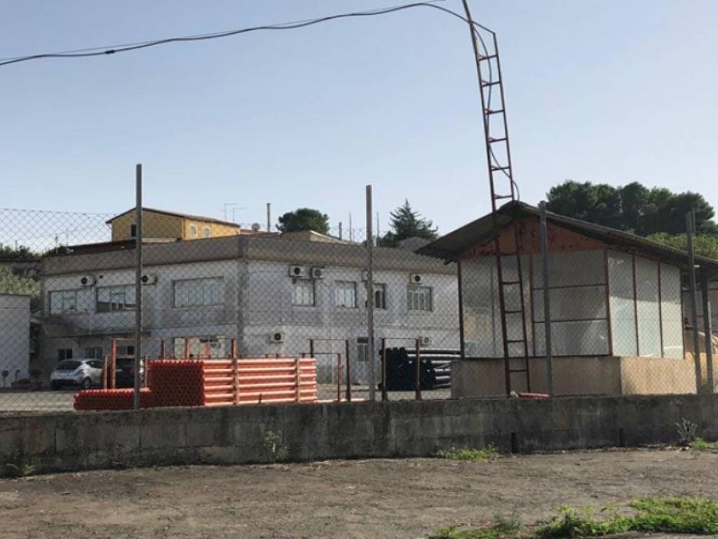 immagine annuncio 2 di 4