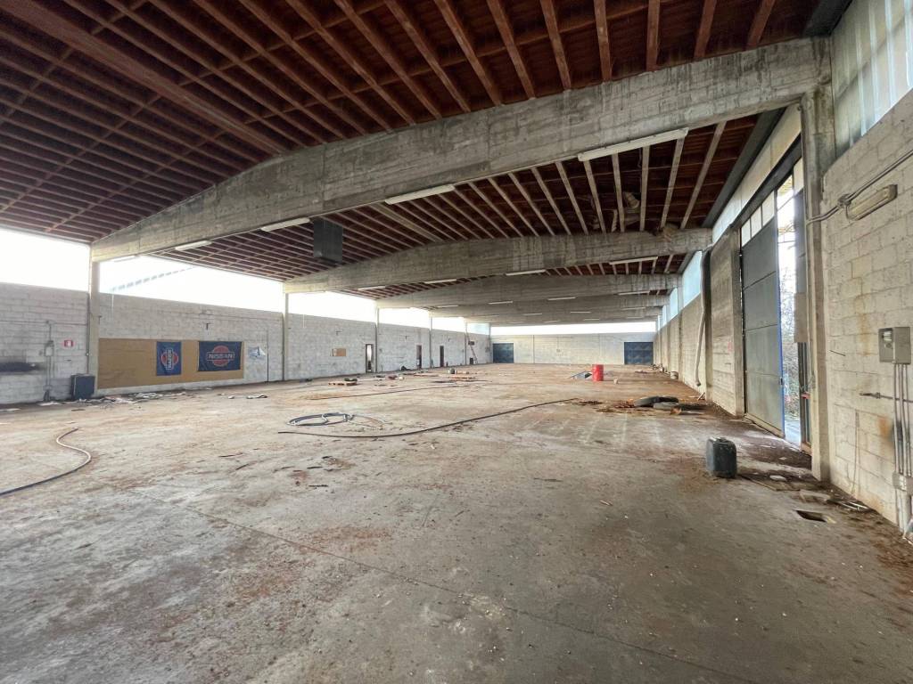 immagine annuncio 4 di 5