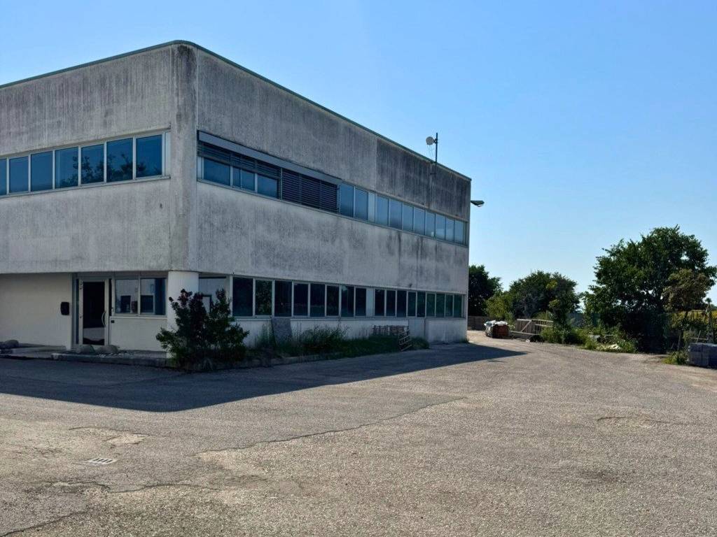 immagine annuncio 1 di 3