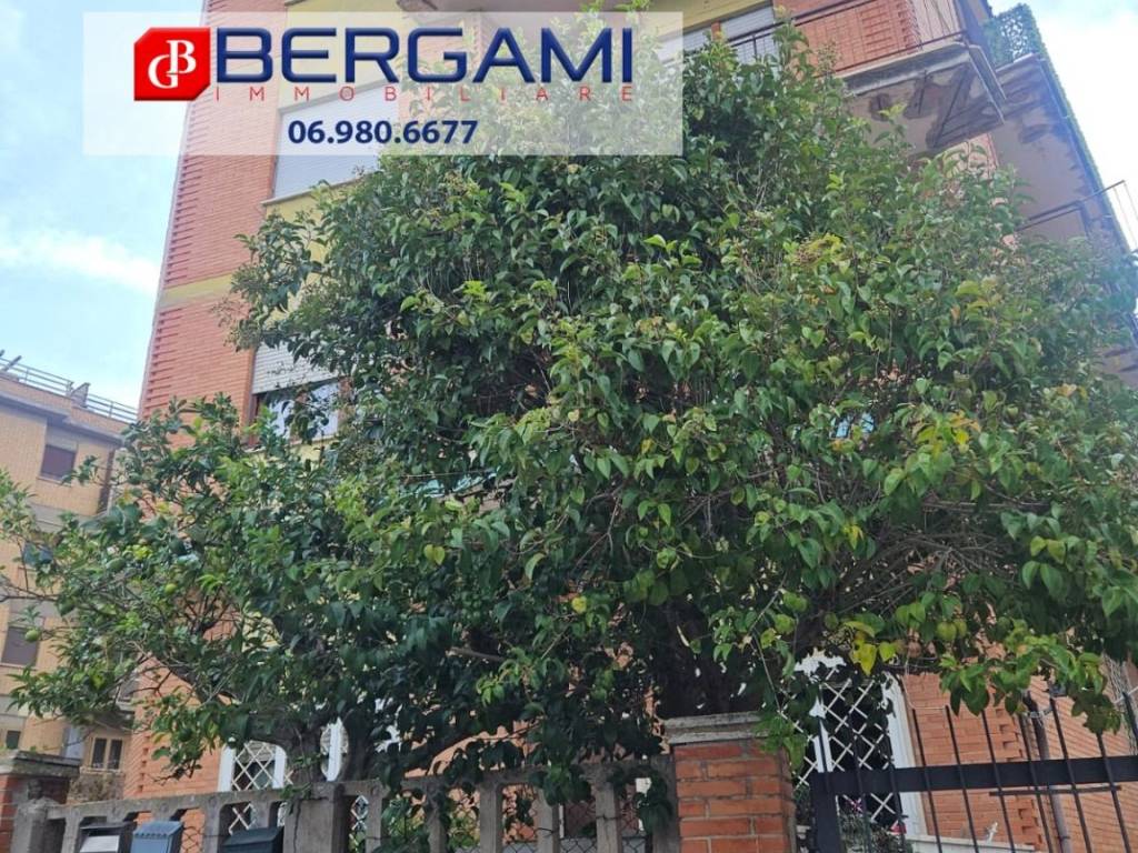 appartamento in vendita a Nettuno