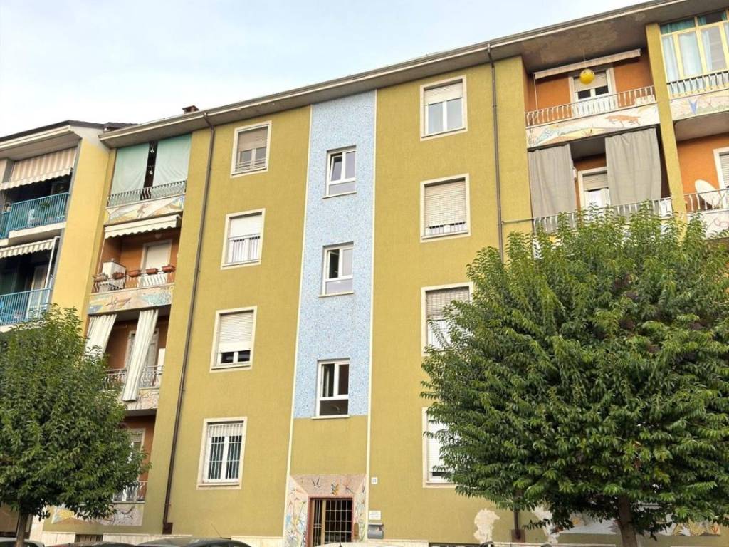 immagine annuncio 1 di 5