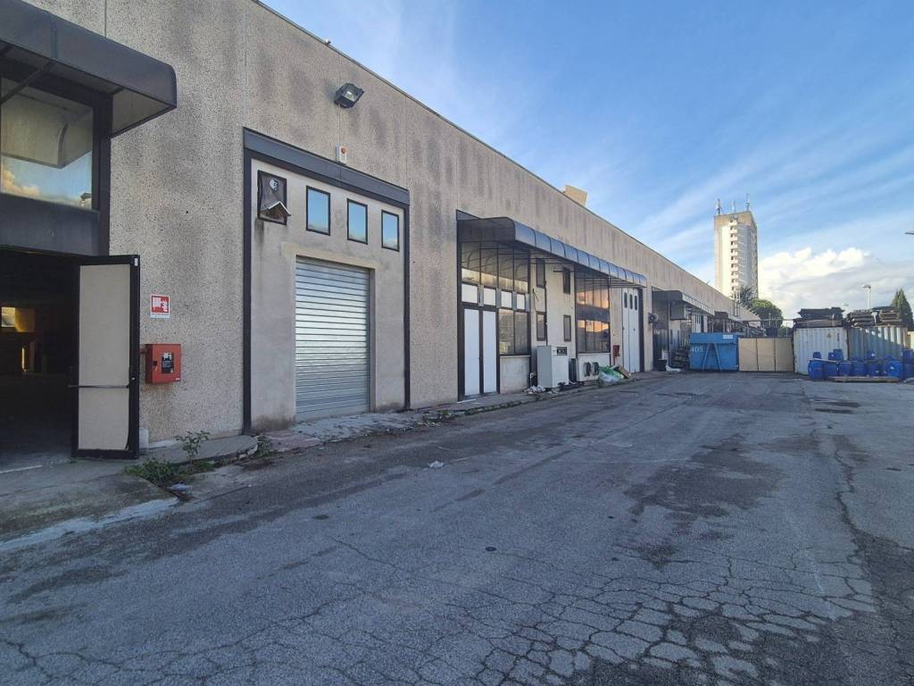 immagine annuncio 2 di 5