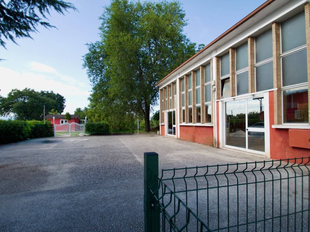 immagine annuncio 4 di 5