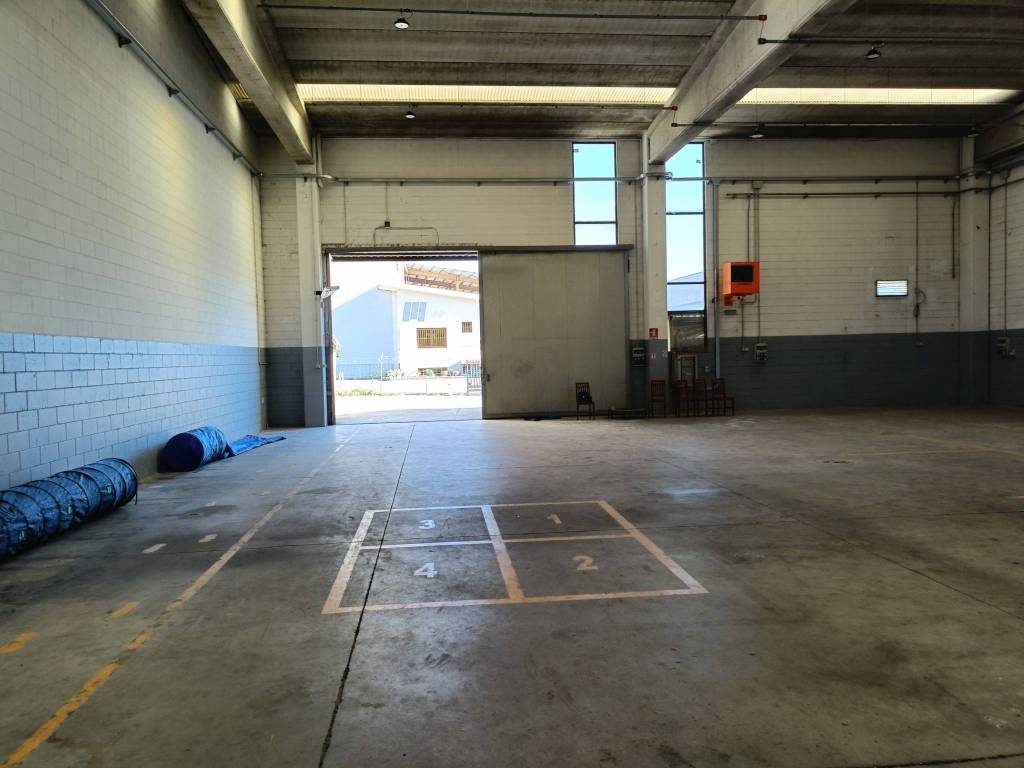 immagine annuncio 3 di 5