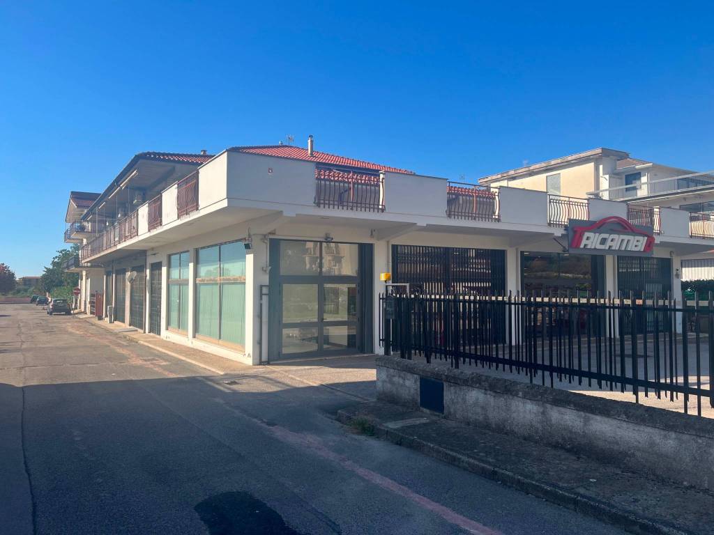 immagine annuncio 2 di 5