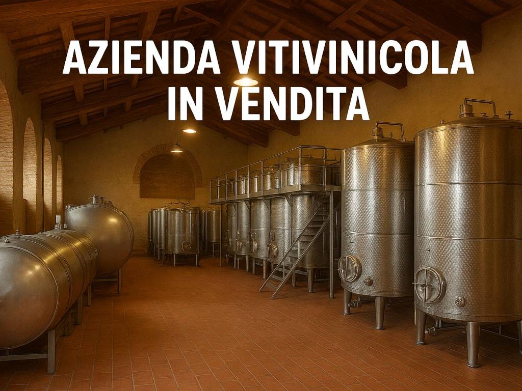 immagine annuncio 1 di 2