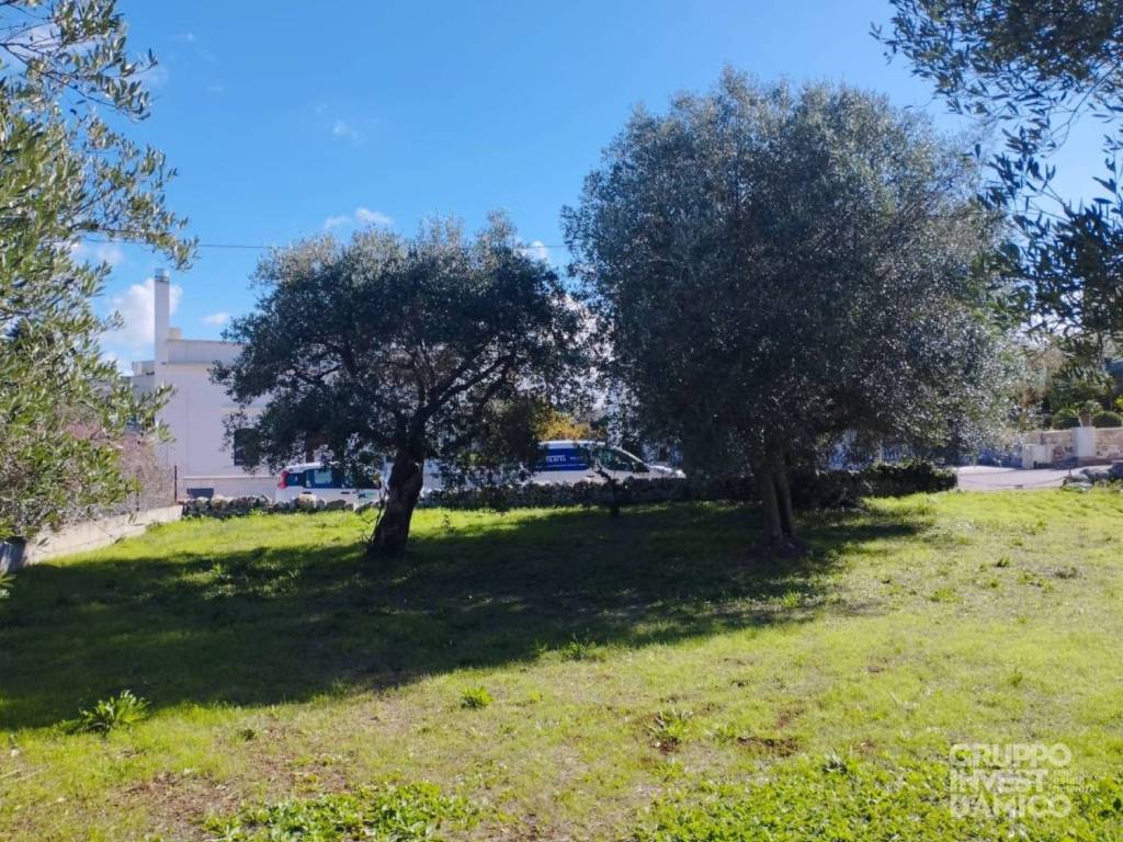 immagine annuncio 1 di 4