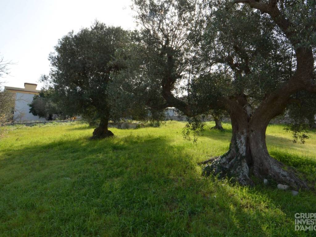 immagine annuncio 1 di 4