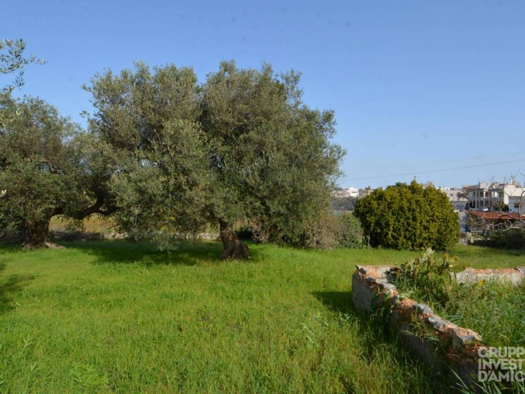 immagine annuncio 3 di 4