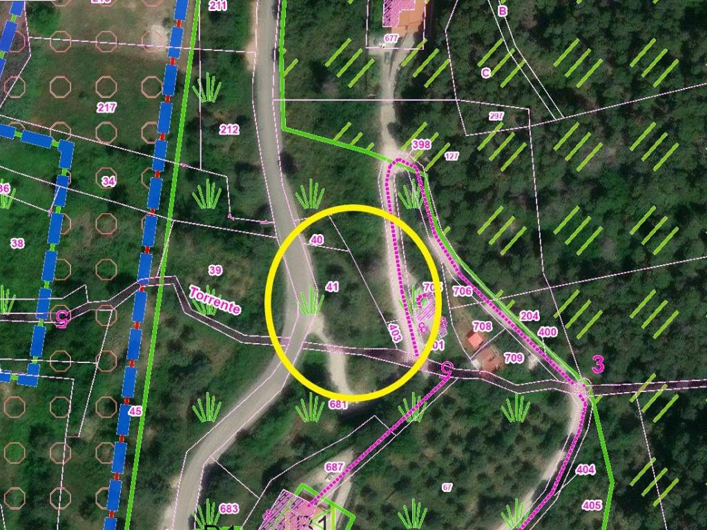 immagine annuncio 3 di 4