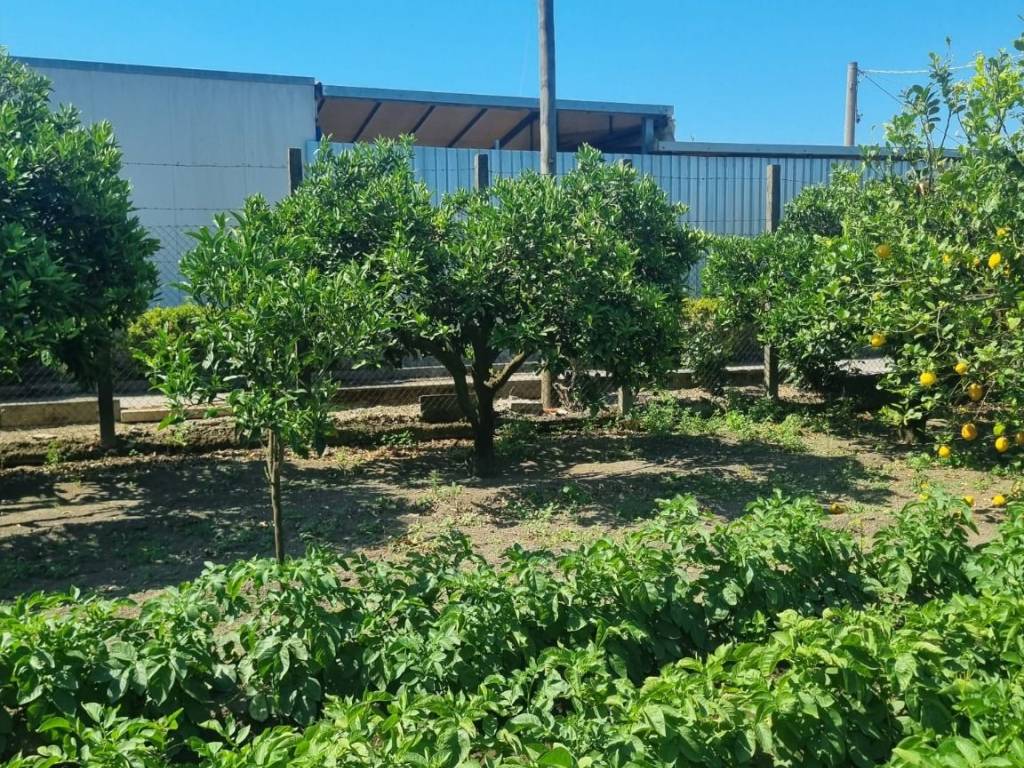 immagine annuncio 2 di 4