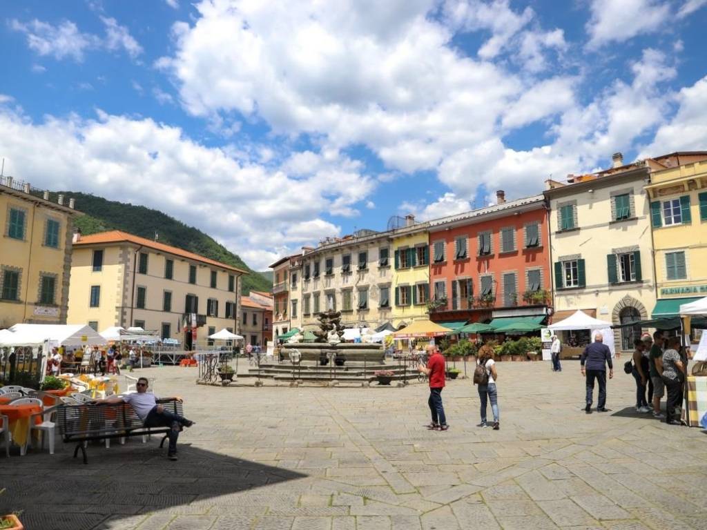 immagine annuncio 2 di 5