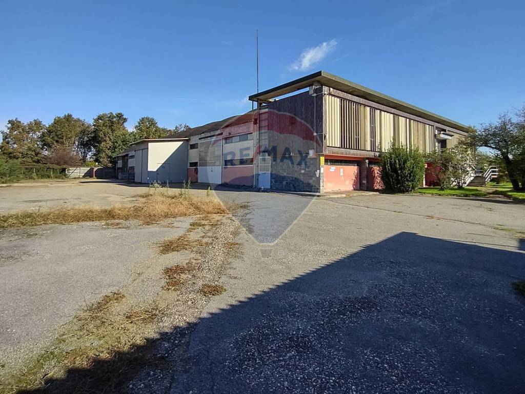 immagine annuncio 3 di 5