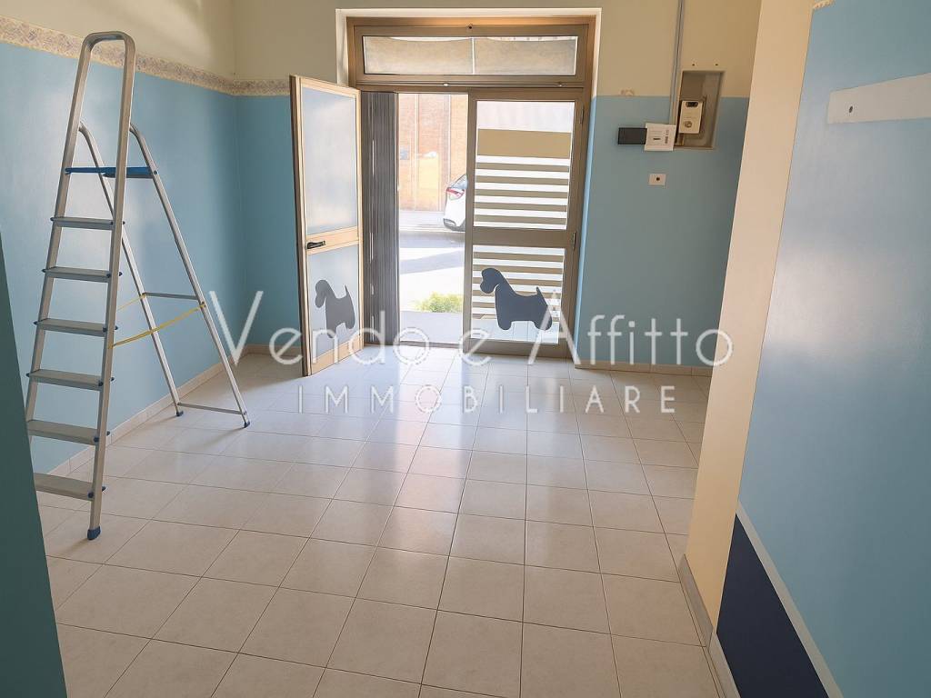 immagine annuncio 3 di 4