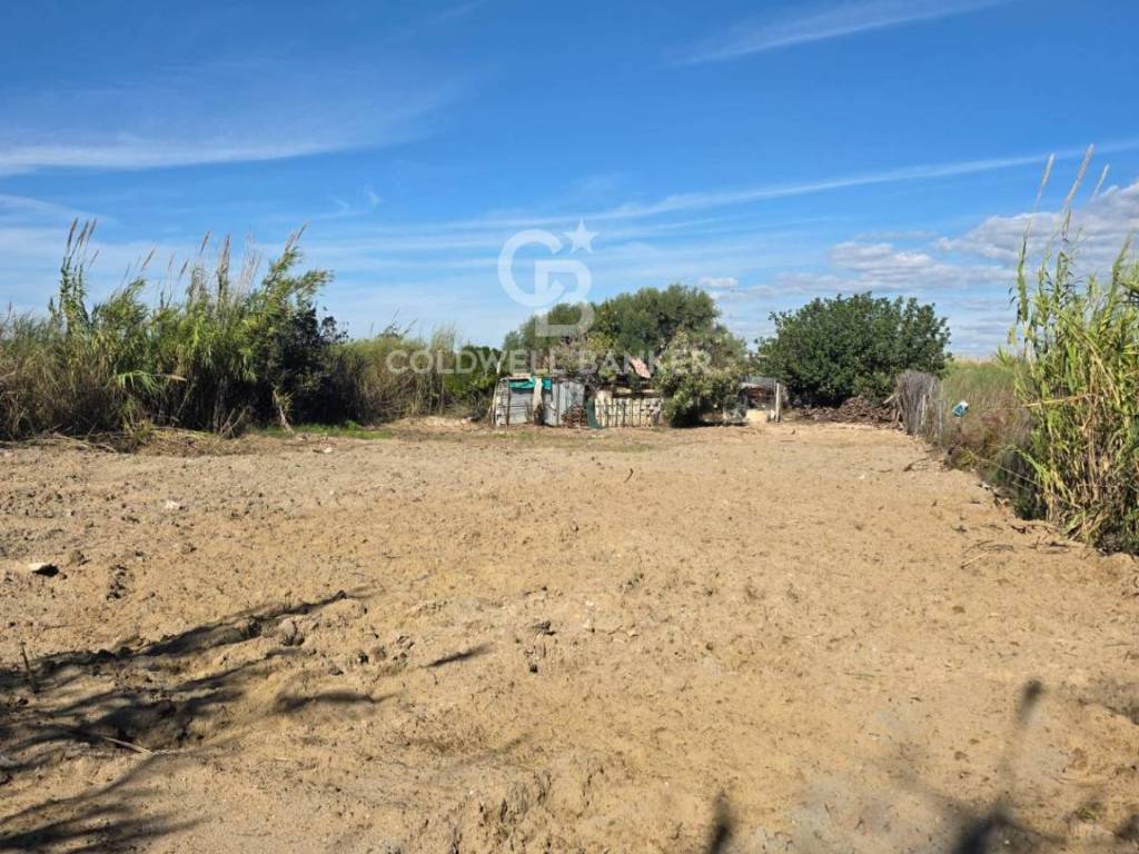 immagine annuncio 3 di 4