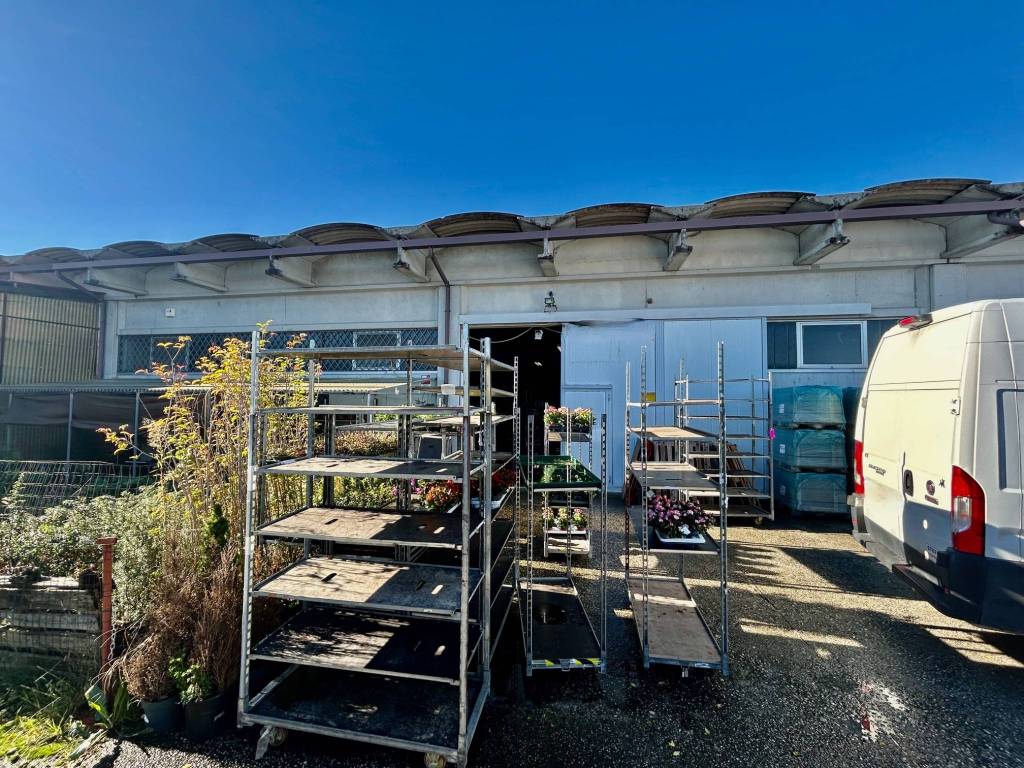 immagine annuncio 3 di 5