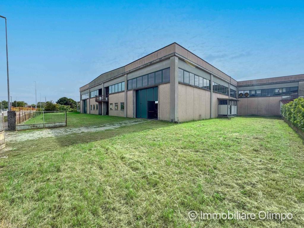 immagine annuncio 2 di 5