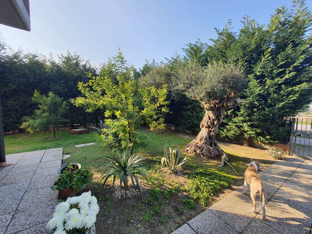 immagine annuncio 3 di 5