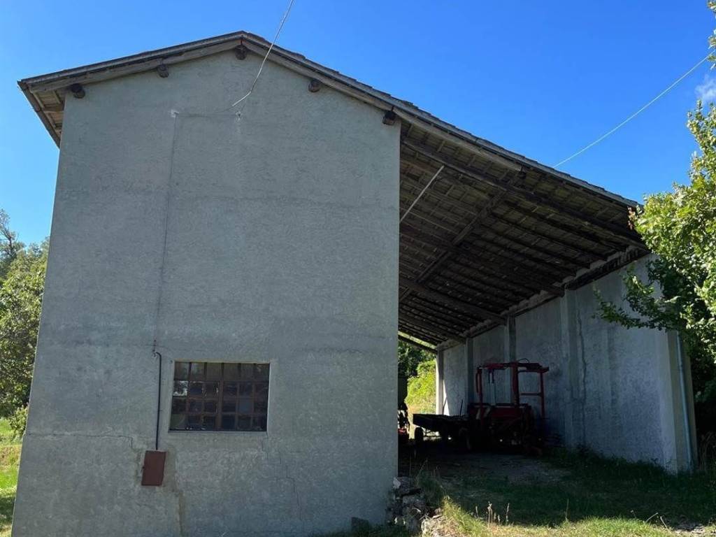 immagine annuncio 2 di 3