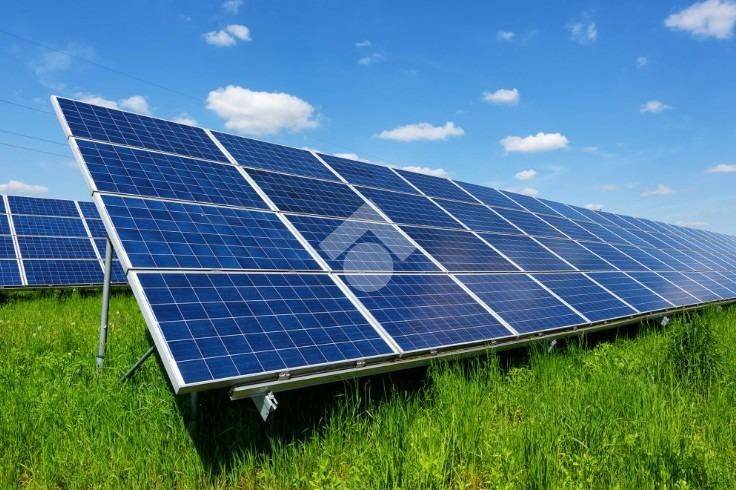 immagine annuncio 1 di 4