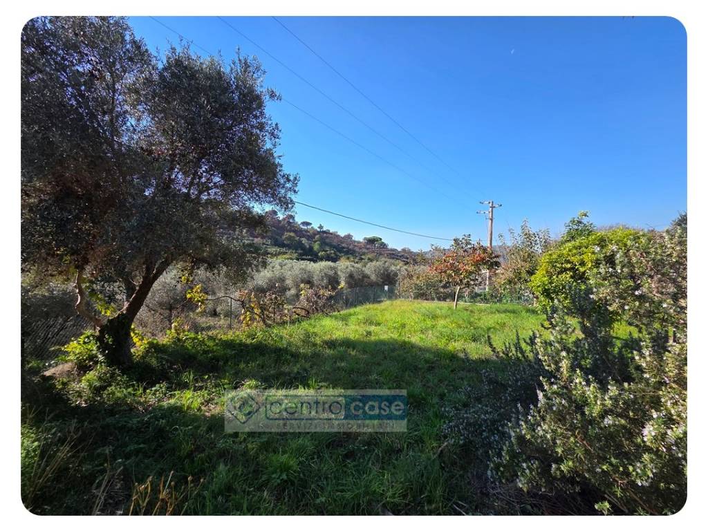 immagine annuncio 3 di 4