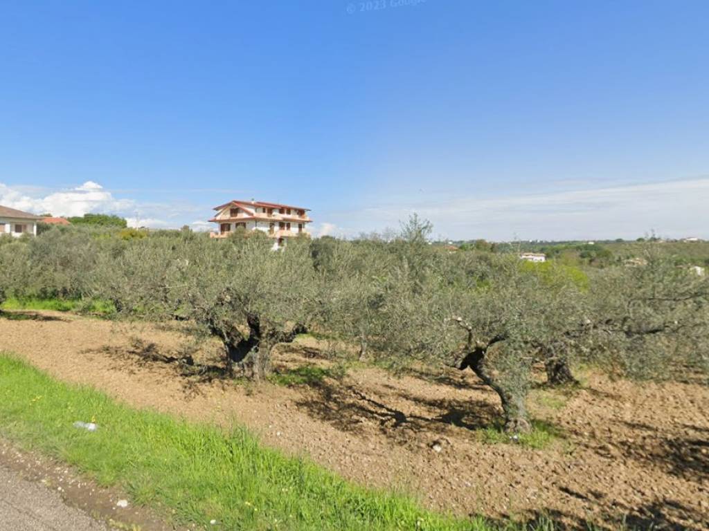 immagine annuncio 2 di 4