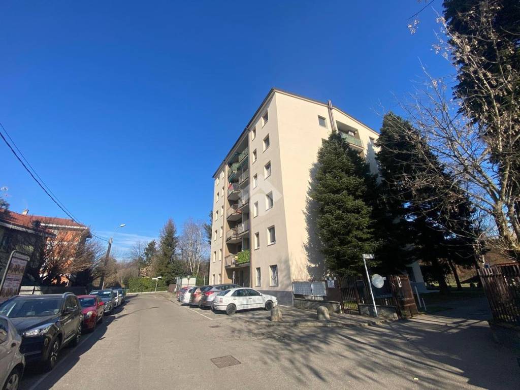 immagine annuncio 2 di 5